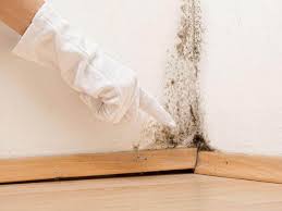 Best Mold Odor Removal Services  in Southeast Arcadia, FL